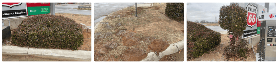 Still photos showing landscaping and curb areas at a gas station, including damaged turf, exposed soil, and shrub overgrowth near signage. Captured through ProxyPics mobile app to document exterior site conditions, seasonal wear, and maintenance needs for facility managers preparing for winter cleanup and repairs.