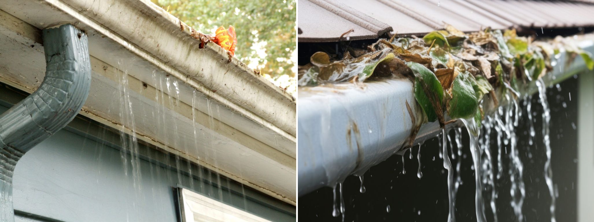 cloggedgutters.jpg